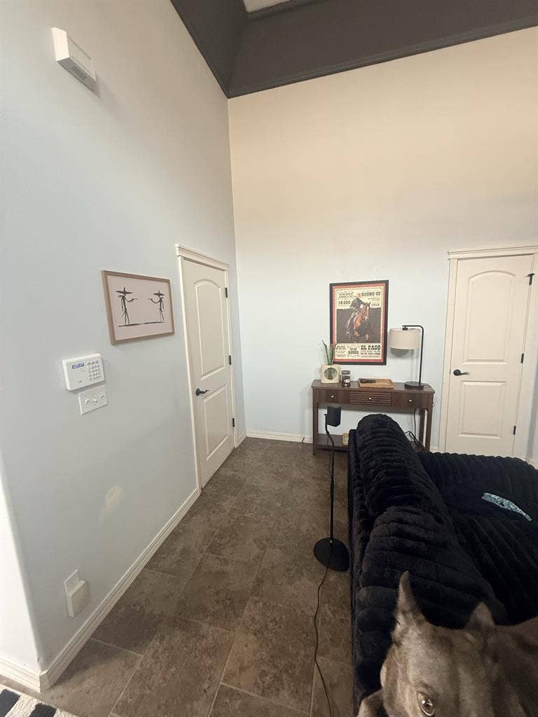 Looking for someone to move in asap