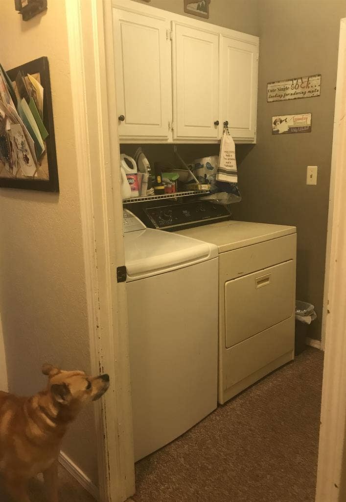 All Bills Paid, Furnished.
