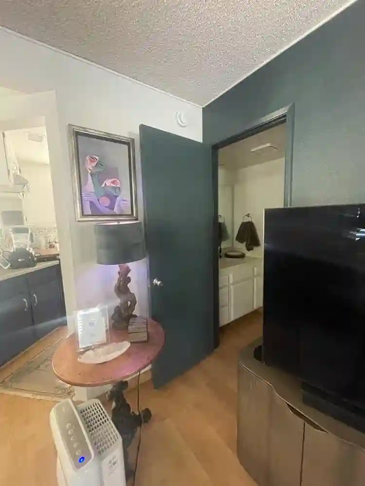Beautiful Pasadena Room Year Lease