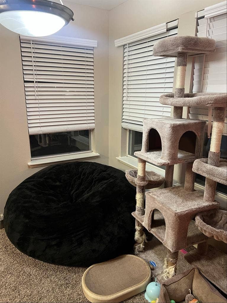 Lookin for roommate/new best friend