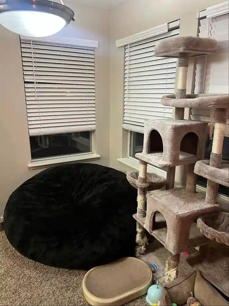 Lookin for roommate/new best friend