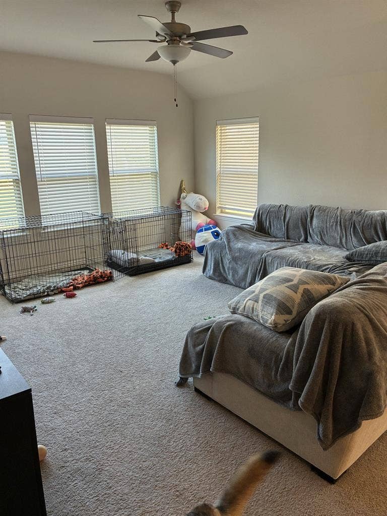 Room for Rent in Cypress, TX