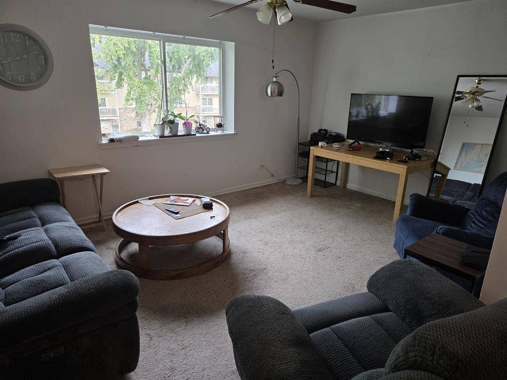 Looking for a roommate