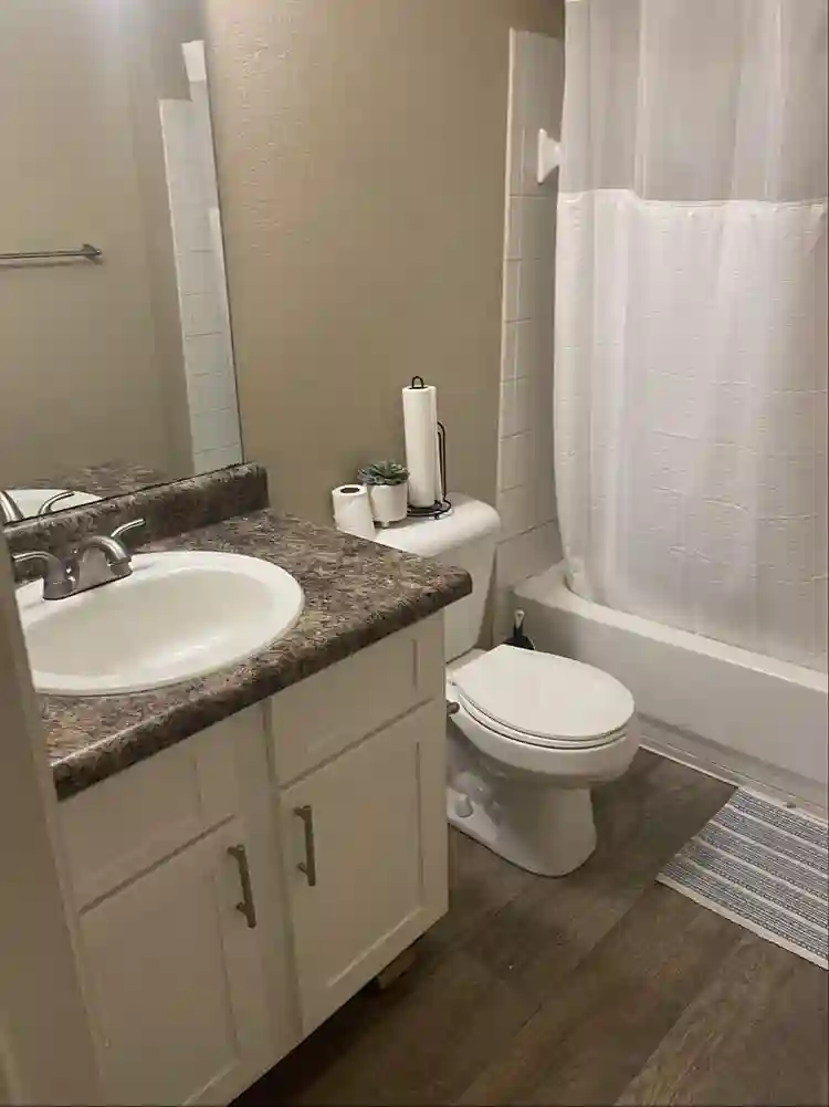 Seeking Roommate by October 18th!