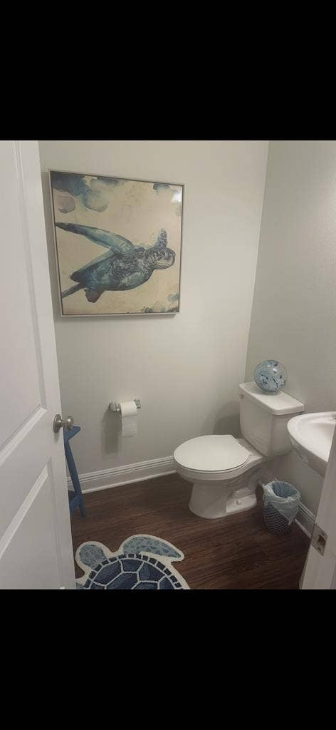 Beautiful room to rent!