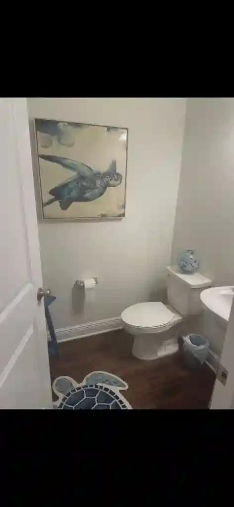 Beautiful room to rent!
