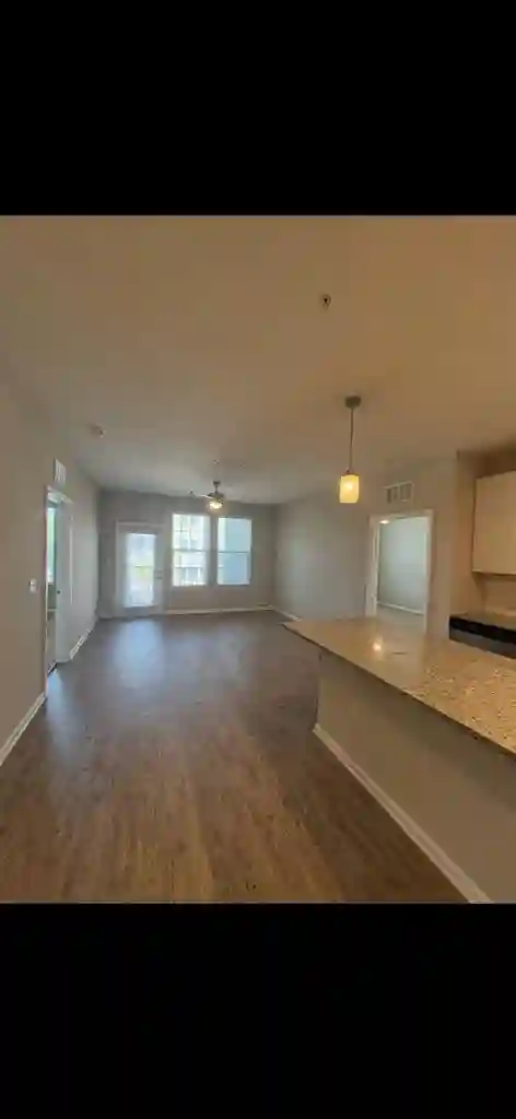 Looking for football and dog lover!