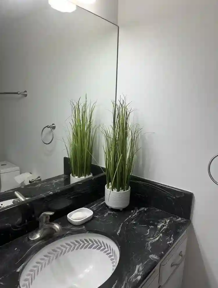Looking for female roommate