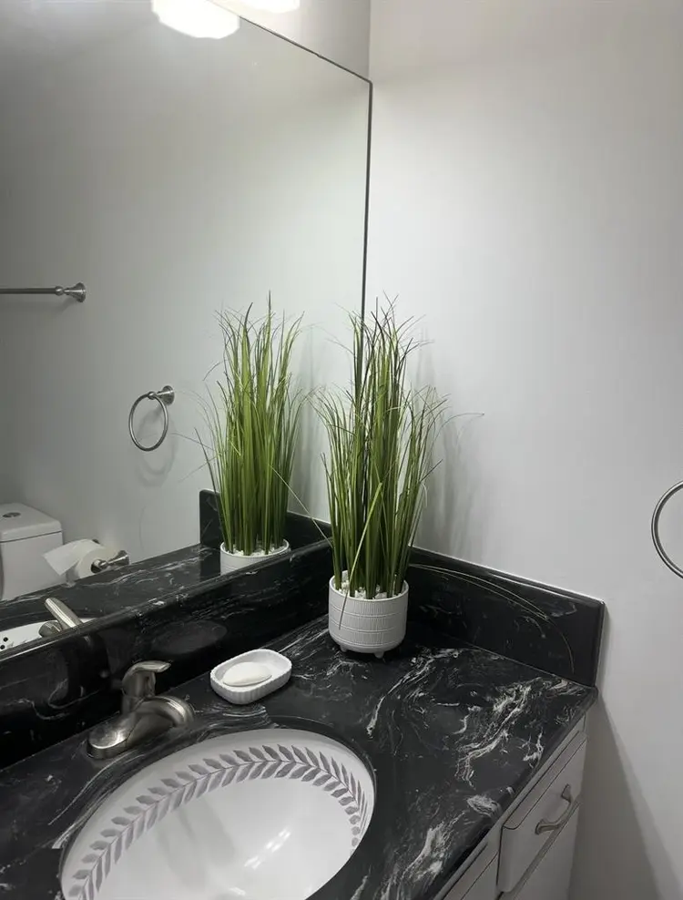 Looking for female roommate