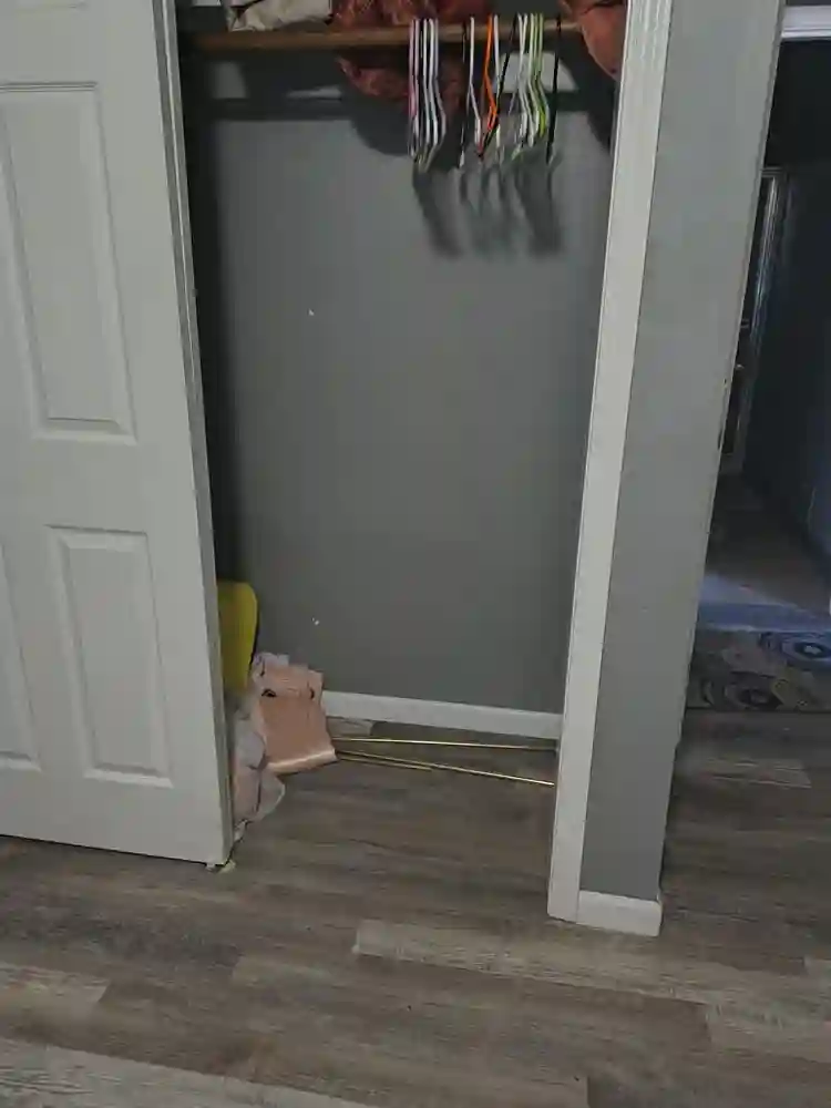 Looking for roomates