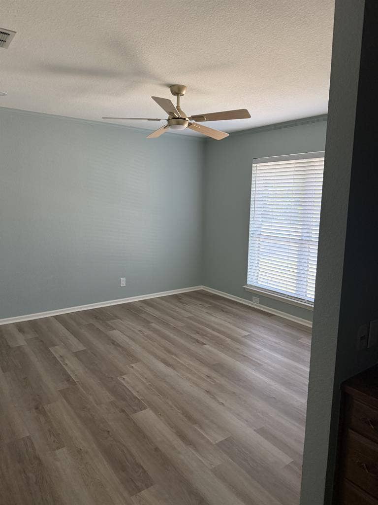 Roommate wanted!