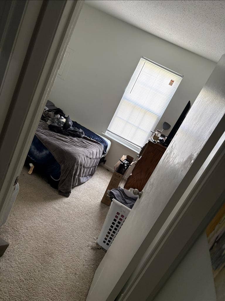 Looking for a roommate October 2026