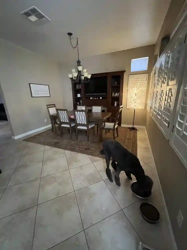 Clean/Summerlin available 11/15/26