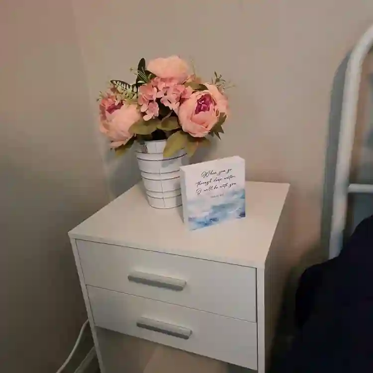 2 Furnished rooms in 3 BR townhouse