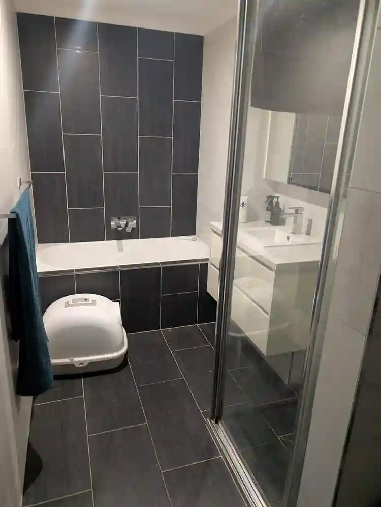Room for rent in shared apartment