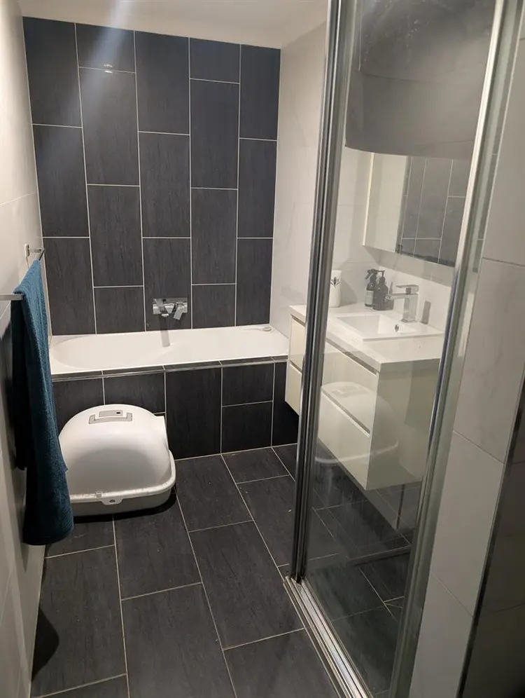 Room for rent in shared apartment