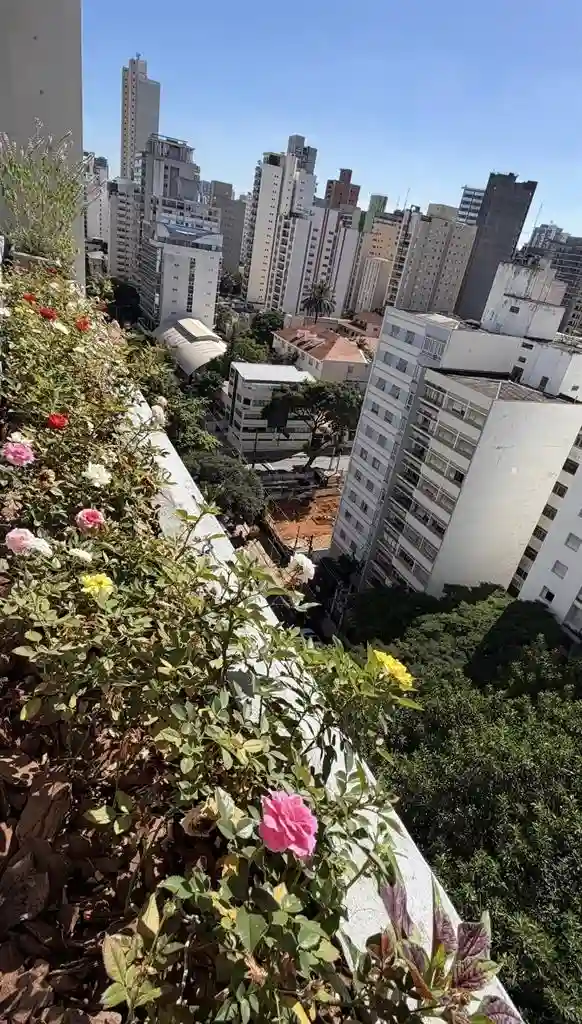 Aluguel de quarto em Pinheiros