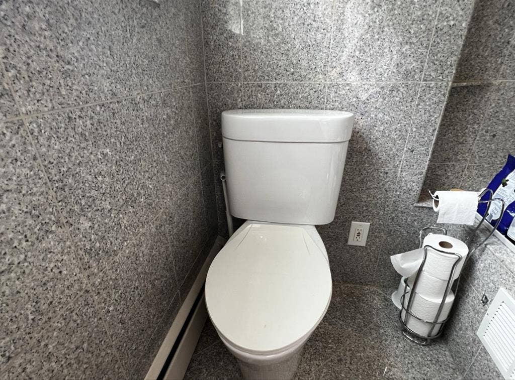 Looking for professional roomate