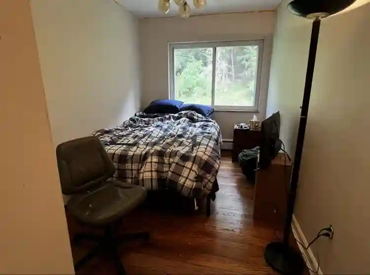 Looking for professional roomate