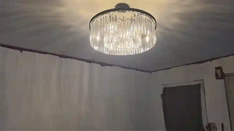Looking for professional roomate