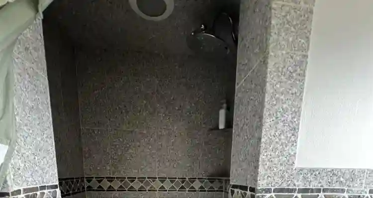 Looking for professional roomate