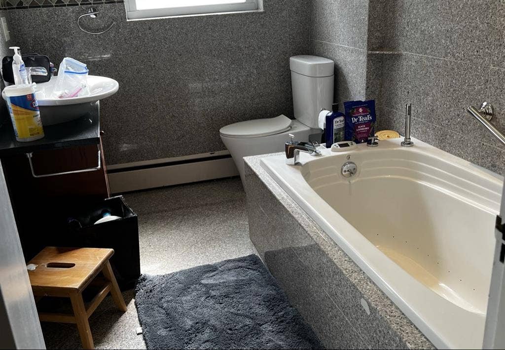 Looking for professional roomate