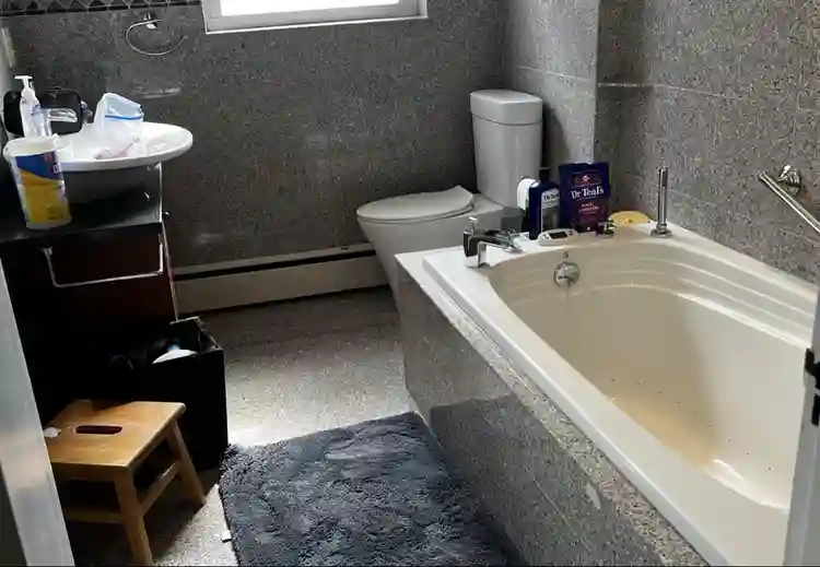 Looking for professional roomate