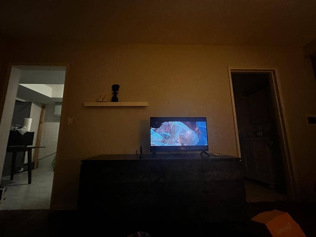 Looking for professional roomate