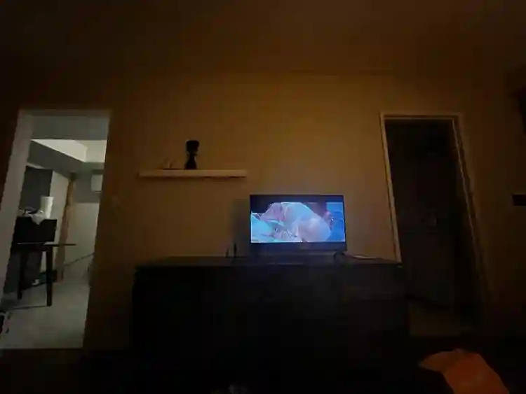 Looking for professional roomate