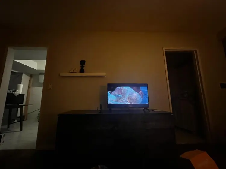 Looking for professional roomate