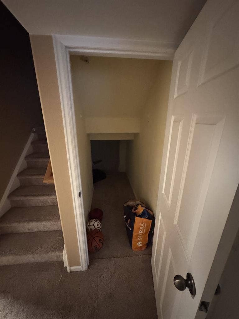 Roommate Wanted | 1bd 1bth