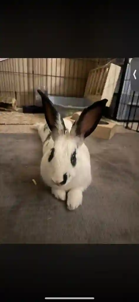 Roommate Wanted | 1bd 1bth