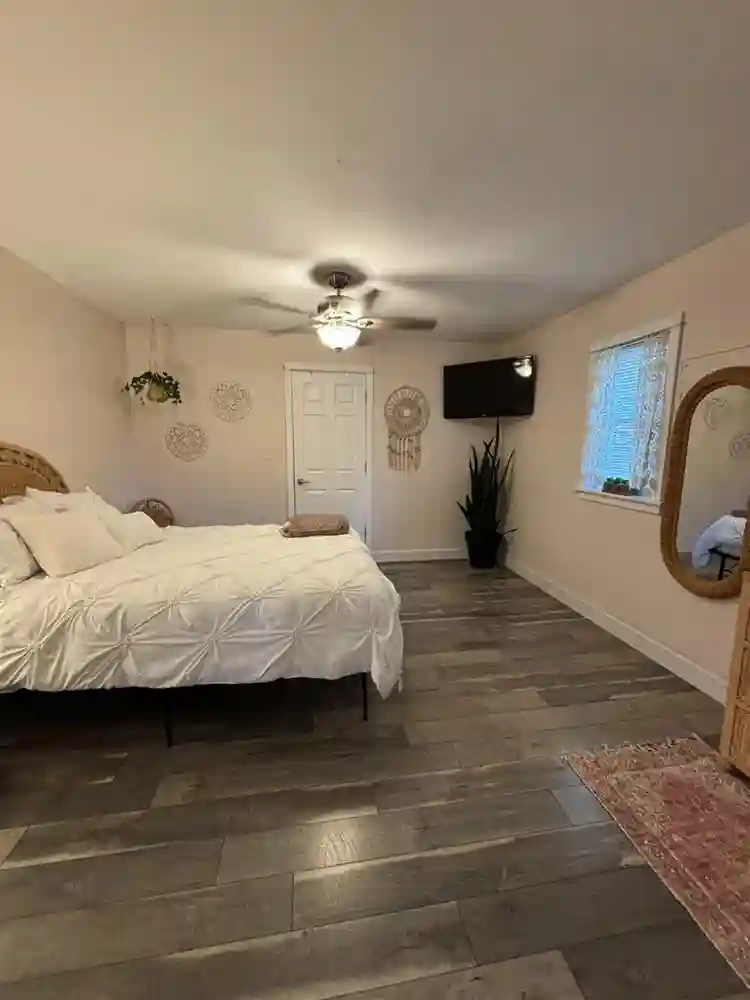 Roommate wanted