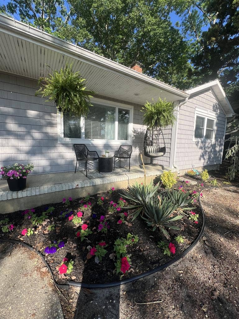Roommate wanted