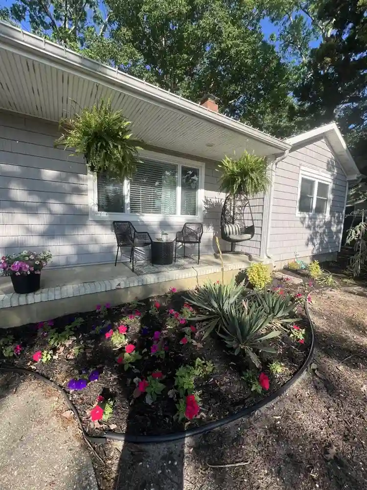 Roommate wanted