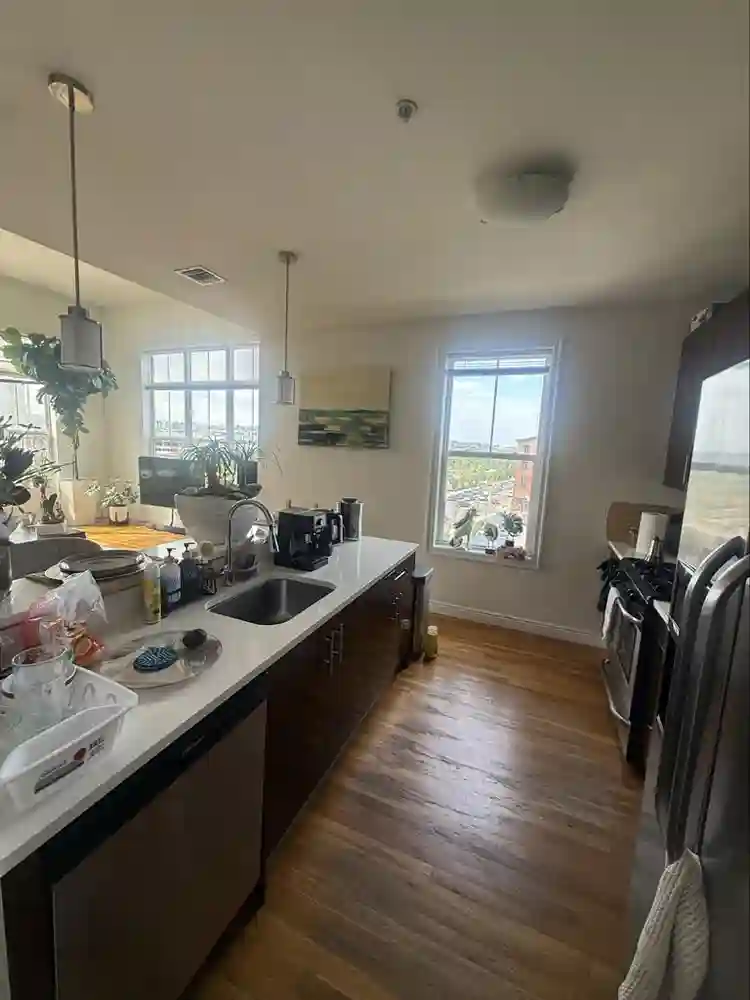Looking for a professional roomate