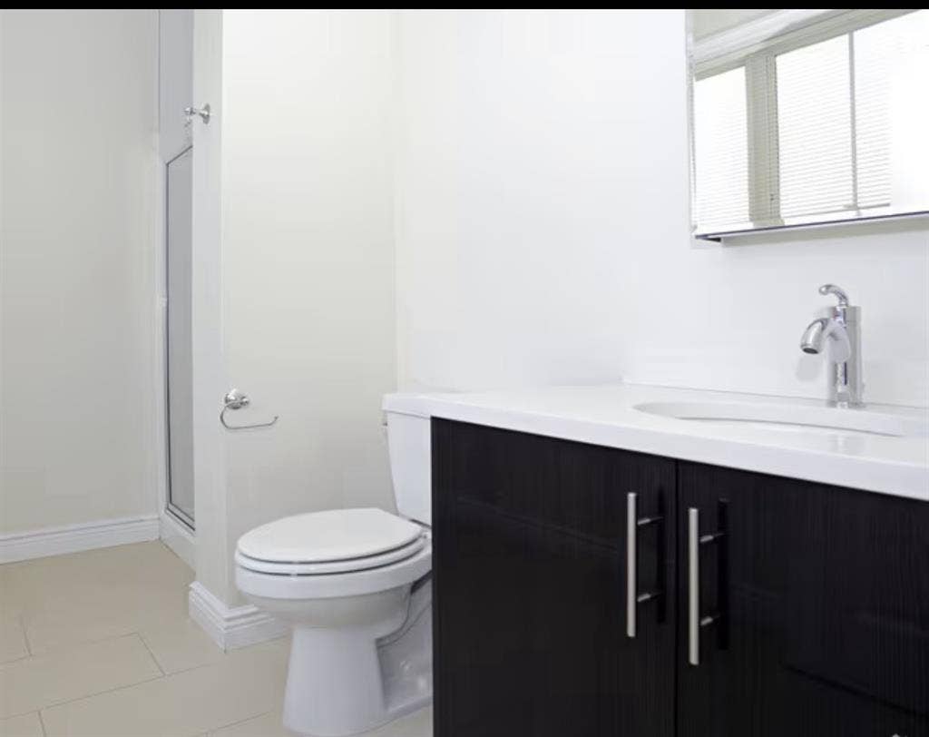 Looking for a professional roomate