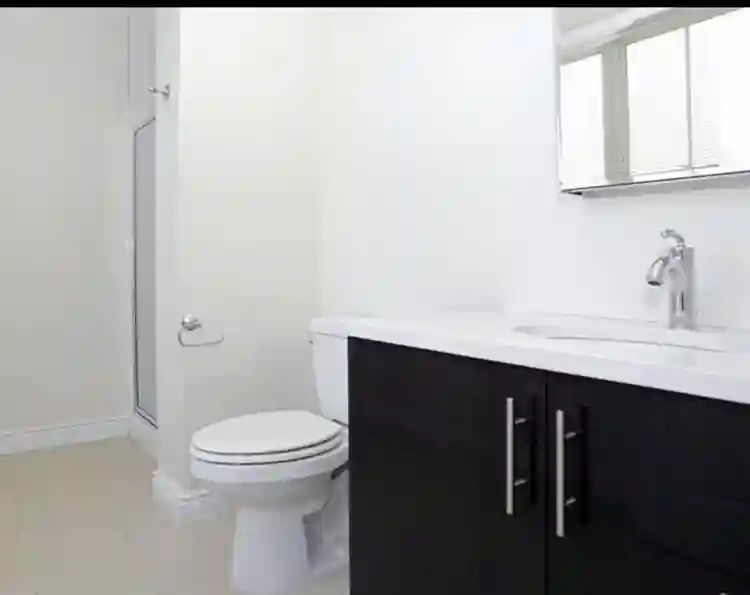 Looking for a professional roomate