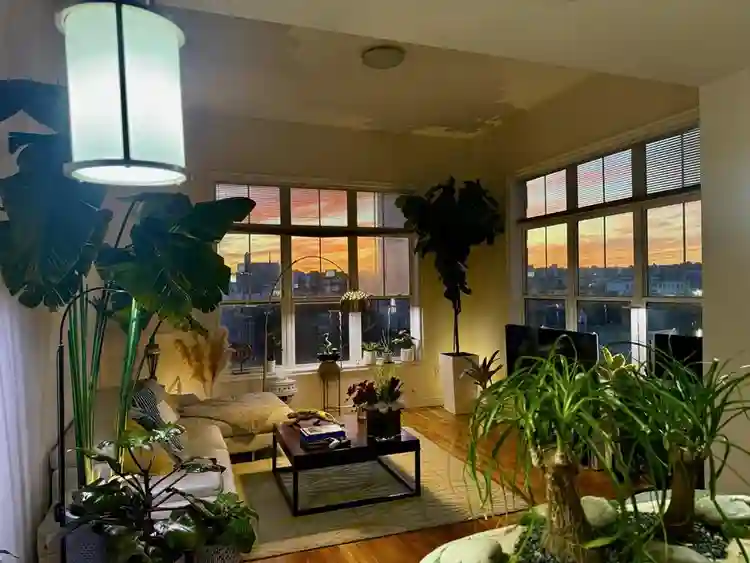 Looking for a professional roomate