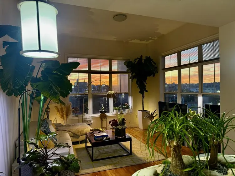 Looking for a professional roomate