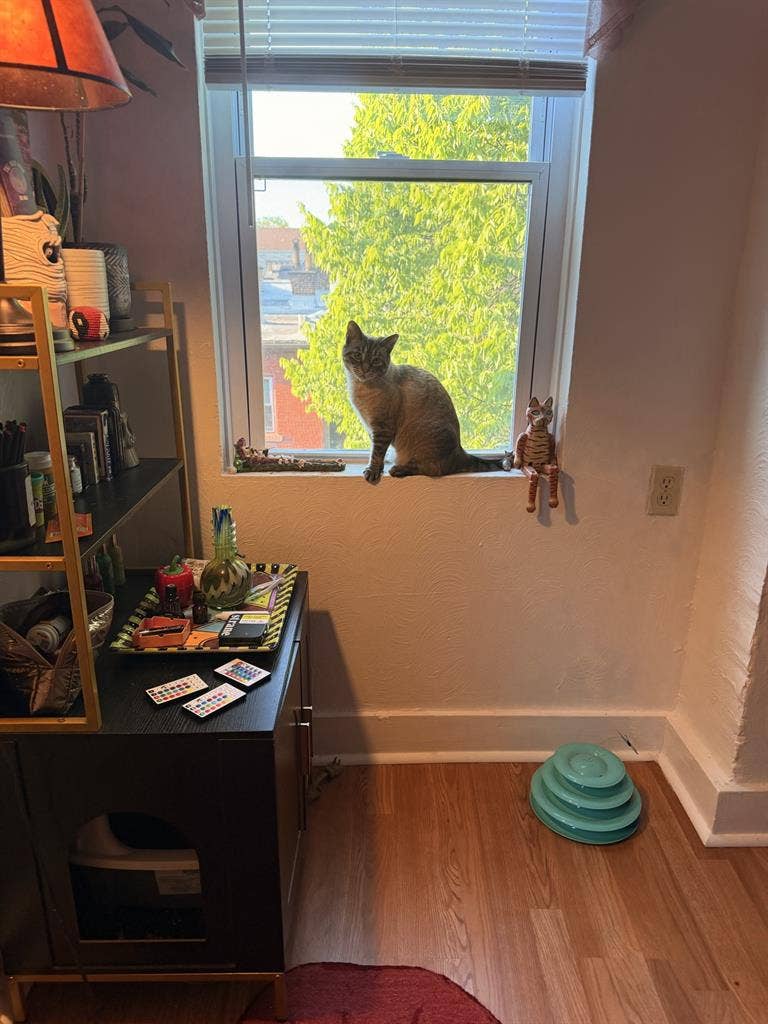 Looking for roommate in Morningside