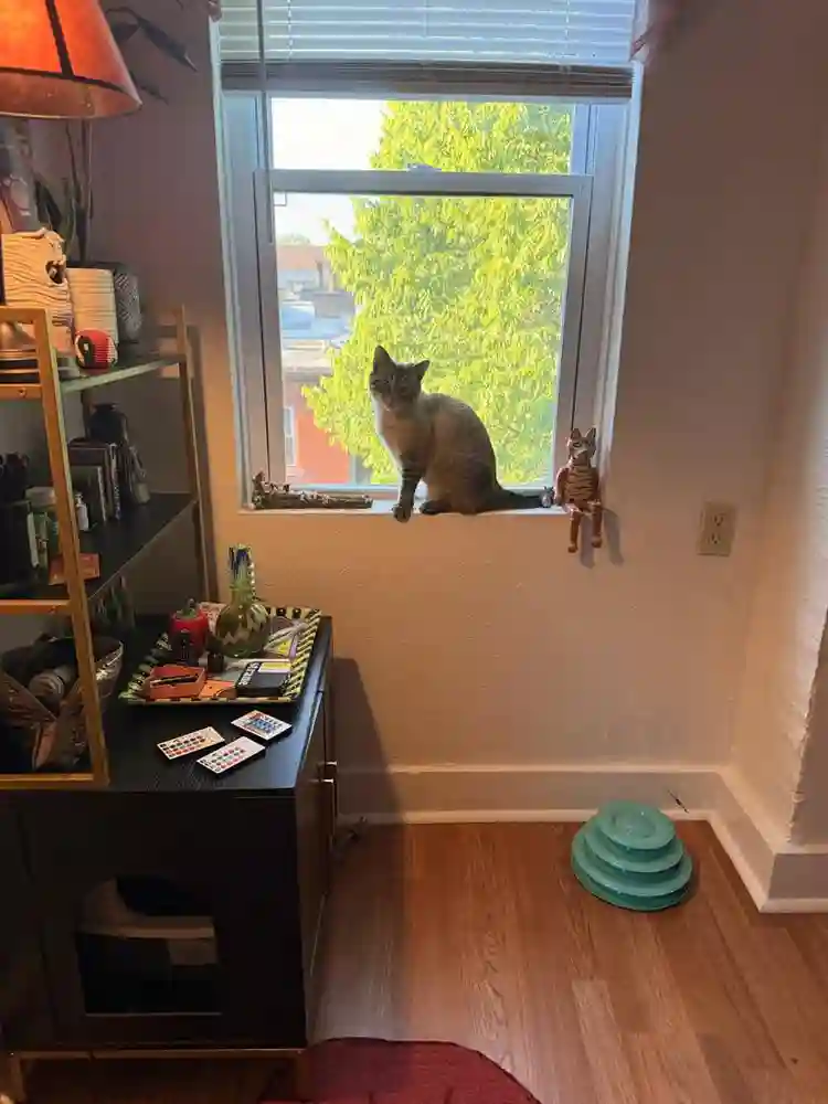 Looking for roommate in Morningside