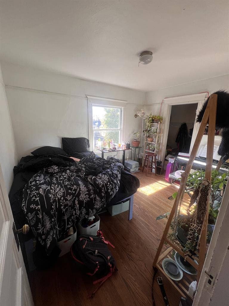 Looking for roommate