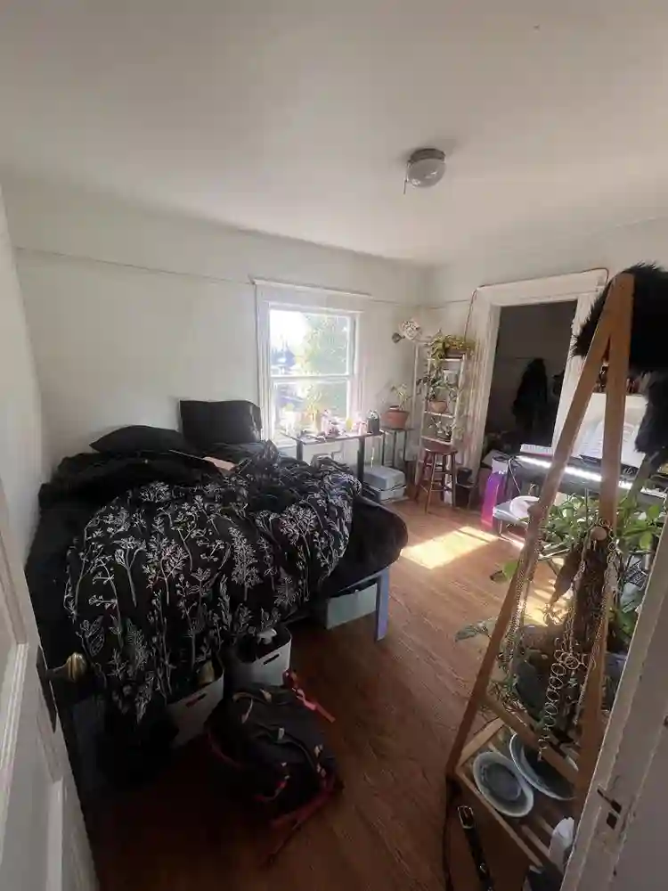 Looking for roommate