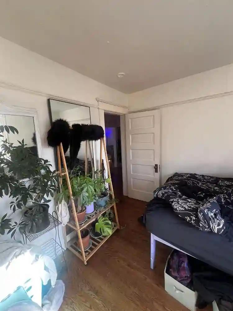 Looking for roommate