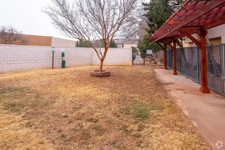 Looking for lease transfer