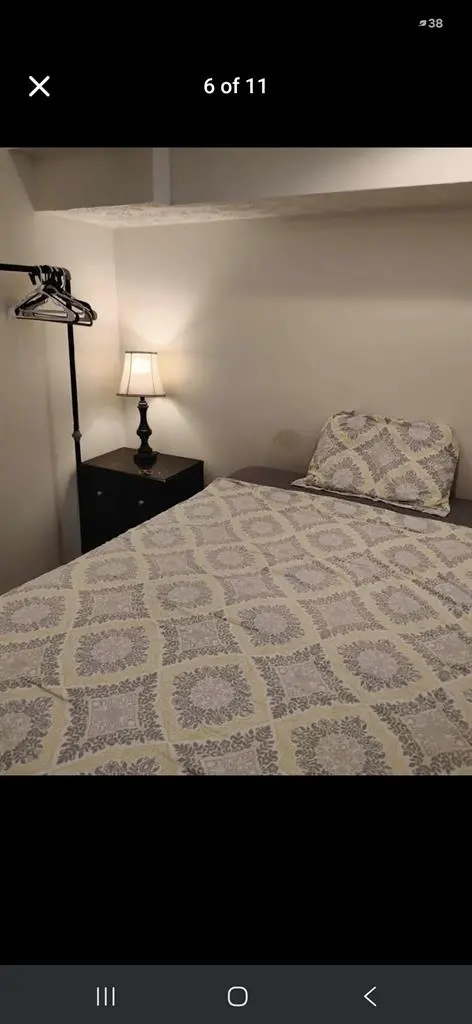 Female roommate wanted