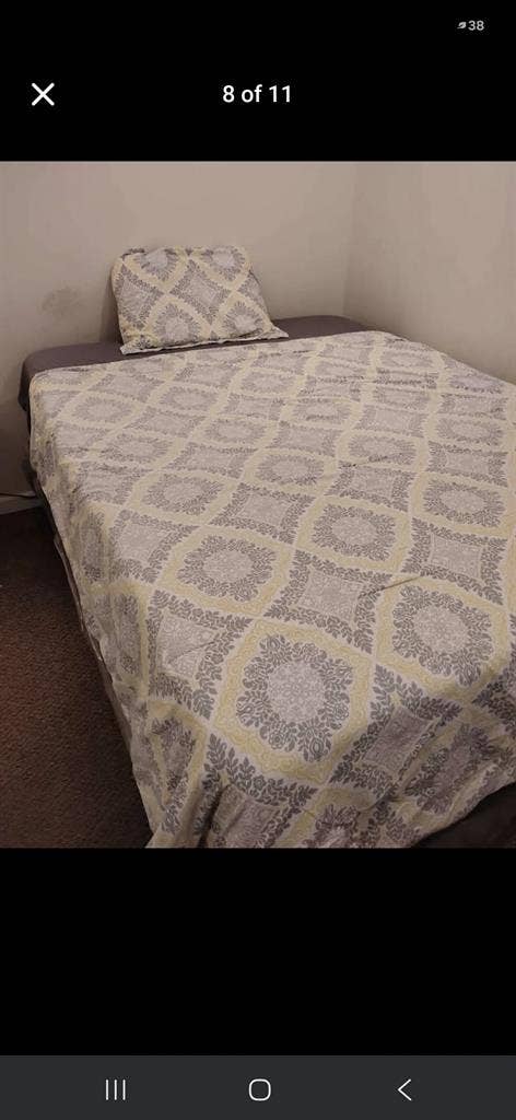 Female roommate wanted