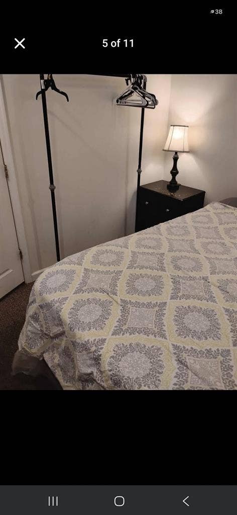 Female roommate wanted