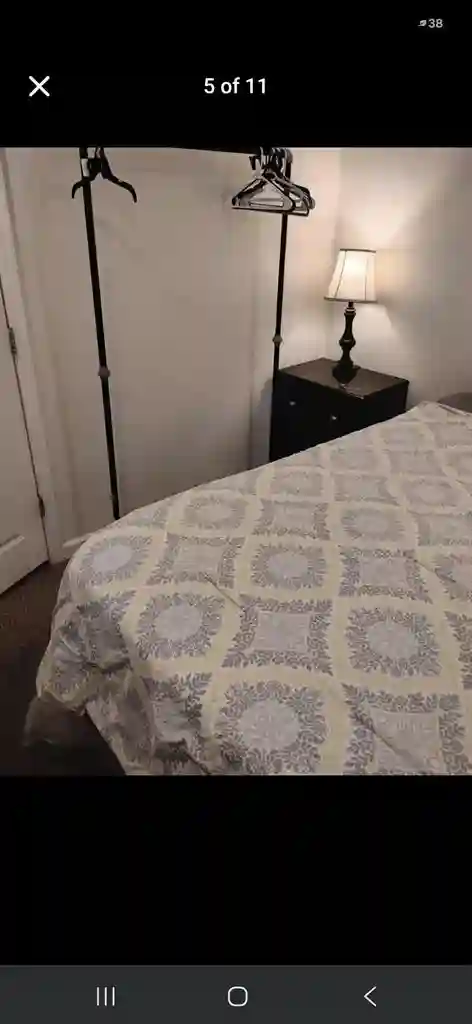 Female roommate wanted